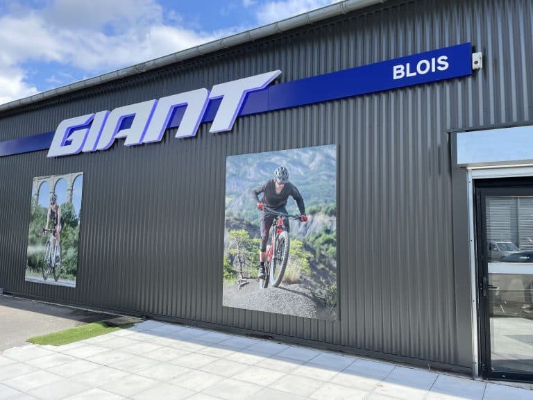 Giant Blois Giant Blois