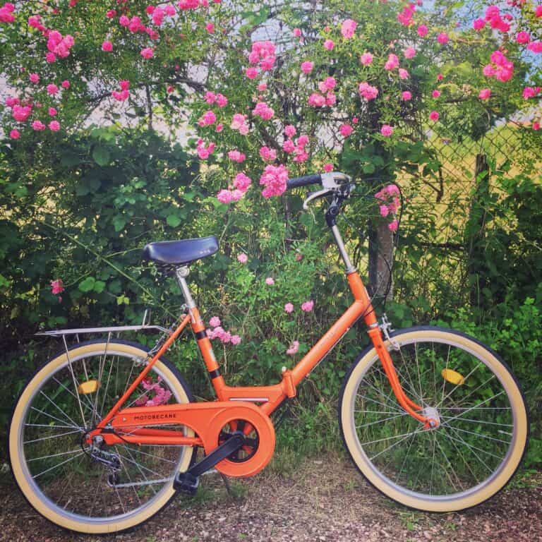 Cycles Up Cycles Up