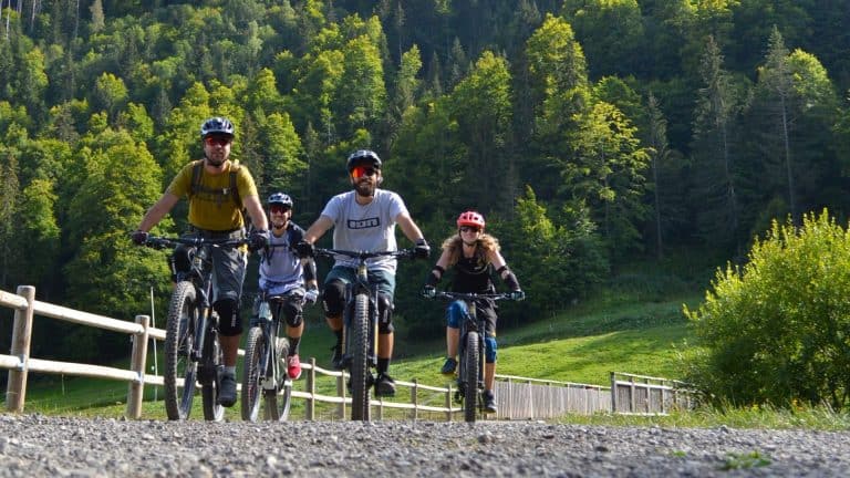 Arav'e-Bike Arav'e-Bike